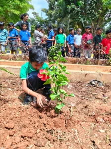 Environment Day