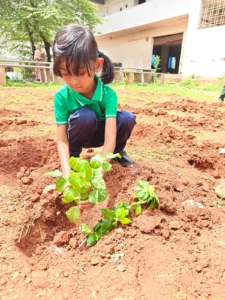 Environment Day