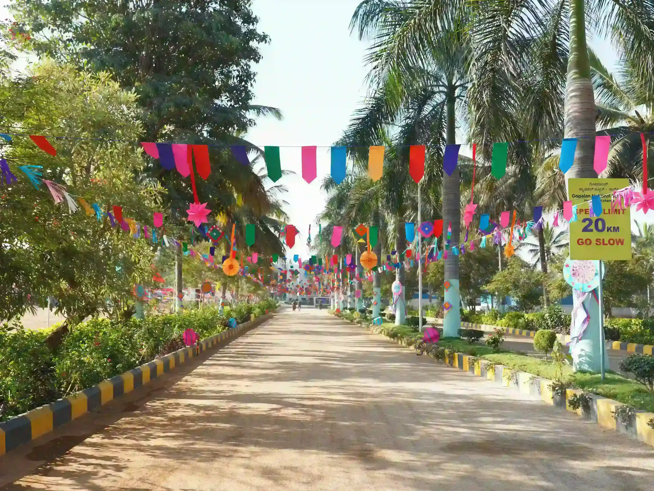 GNS - North
